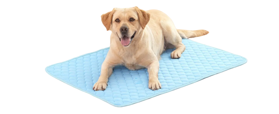🐶 Tappetino Rinfrescante per Cani: la Soluzione Ideale per l’Estate!