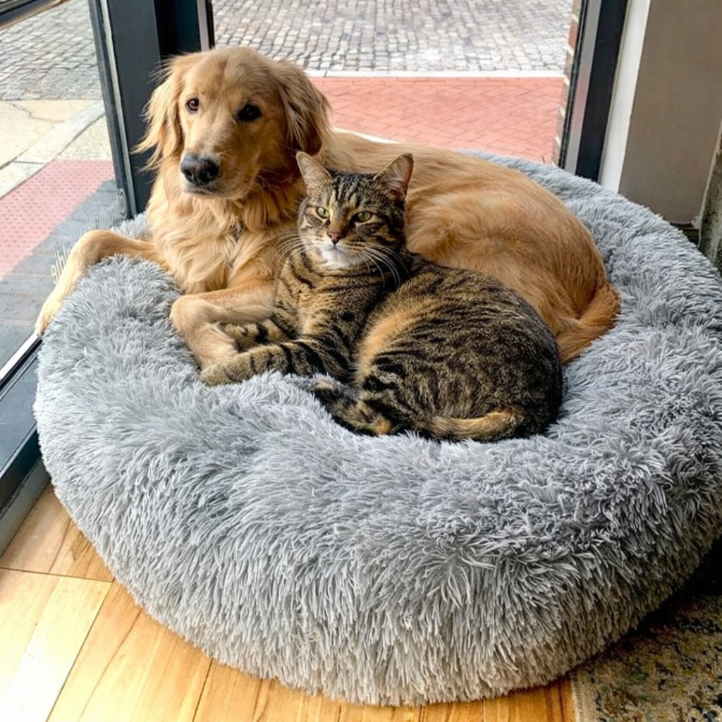 CUCCIA INVERNALE FLUFFY PER CANI E GATTI 🐾🔥