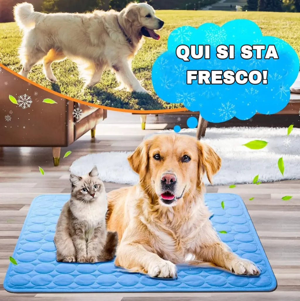 Golden retriever and gray cat resting on blue cooling mat indoors with text 'QUI SI STA FRESCO!'