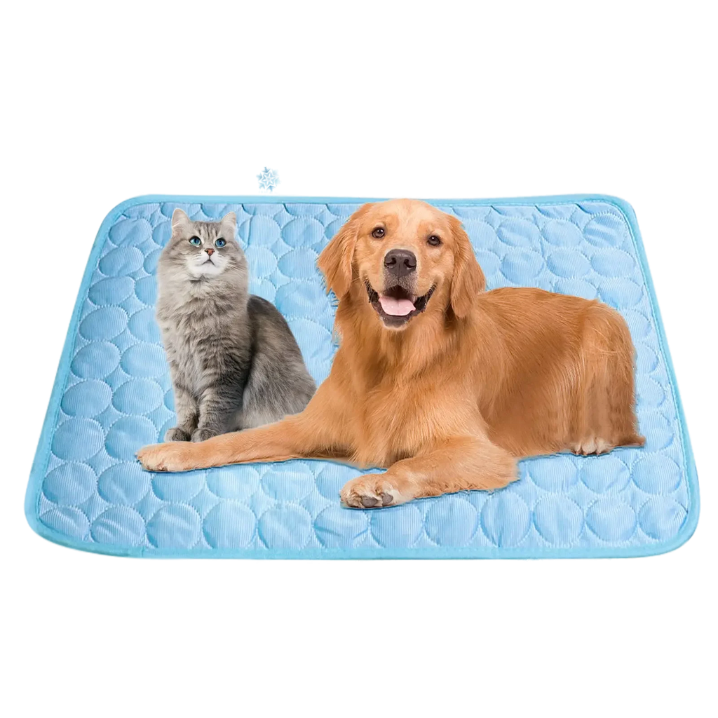 Golden retriever dog lying next to fluffy gray cat on light blue pet mat