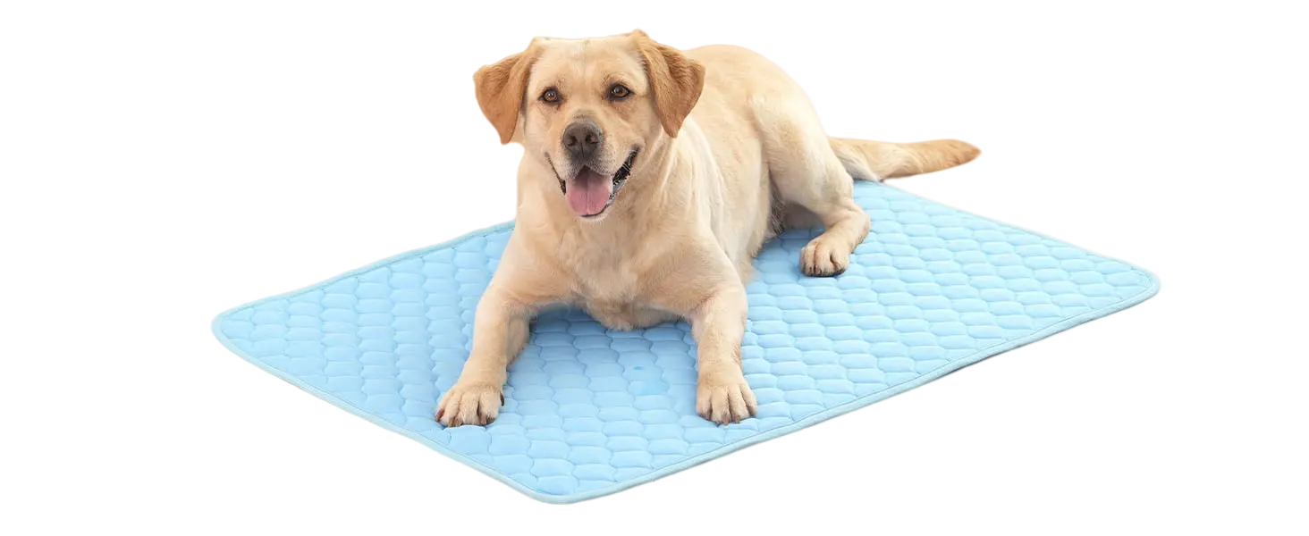 REFRESHING MAT❄️ Il mio negozio