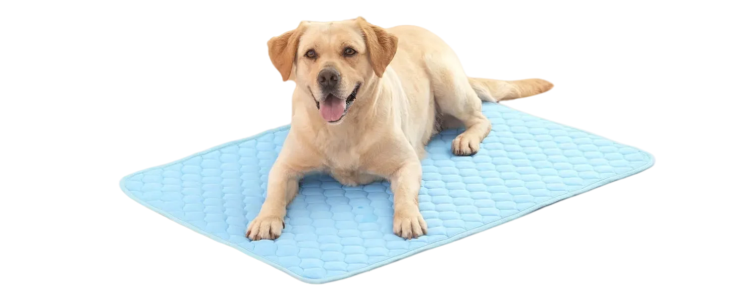 Golden retriever dog lying on a light blue quilted pet cooling mat
