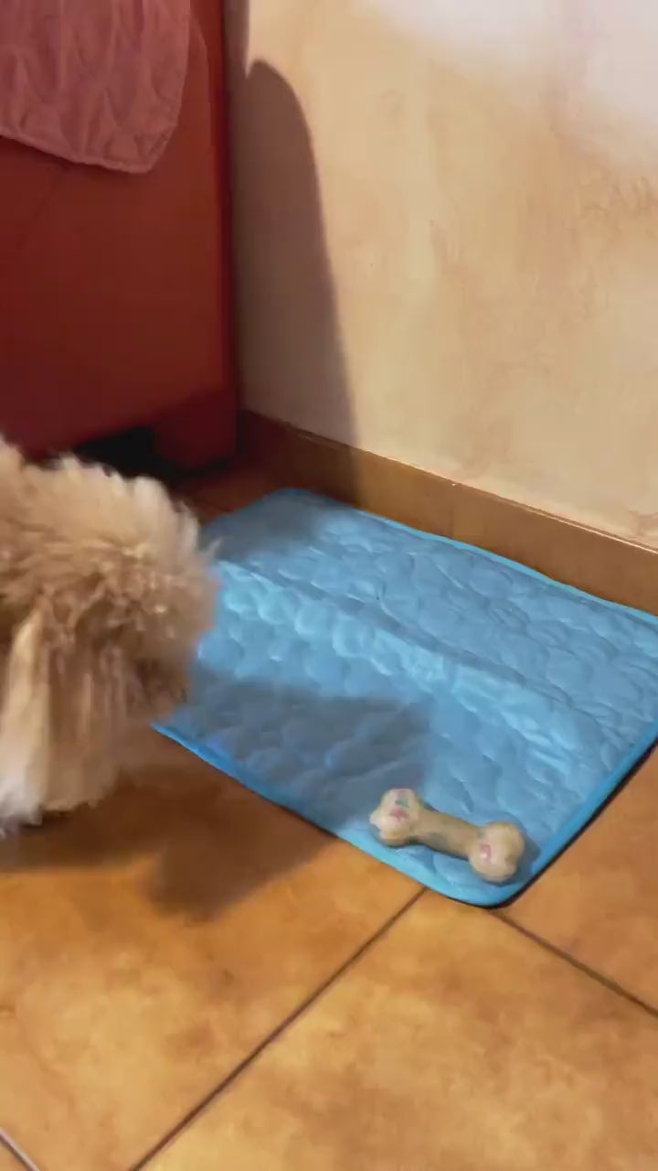 shopgracias-app-videos